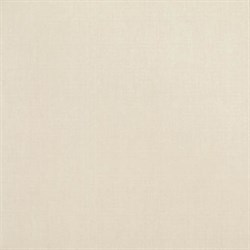Absolut Ivory Gres 49,1x49,1 - фото 43583