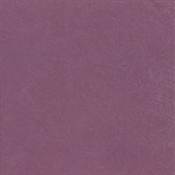 655P0R PLUME RETT. - фото 44848