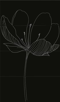 255D9RD DREAM A BLACK - фото 44859