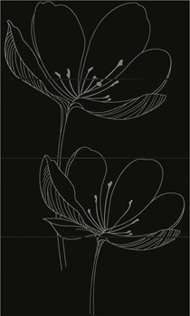 255D9RE DREAM B BLACK - фото 44860