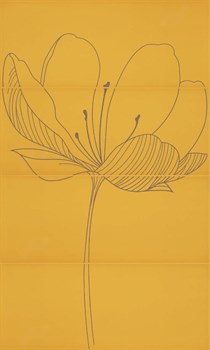 255D3RD DREAM A YELLOW - фото 44879