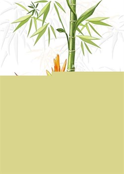 C-JU2M051 Jungle Белый декор 25*35 - фото 46805