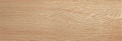 Frame Honey 19,5x59 Lappato - фото 47640