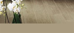 Extra Wenge 19,5x59 - фото 47709