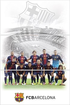 FCB TEAM 3A H R3060, 30x60x3 - фото 48235
