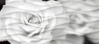 WA2G442D Wave Blackflowers Декор 20x44 - фото 51162