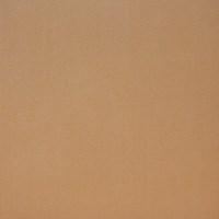 Керамогранит GT-210/g бежевый 40*40 - фото 51778