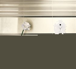 Бордюр Agora M6GZ 4*33.3 - фото 52480