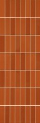 Плитка Colourline Orange Mosaico MLEY 22*66.2 - фото 53807