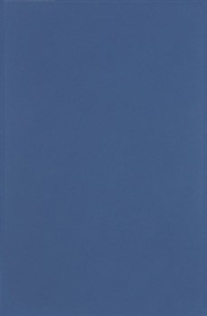 Плитка Minimal Azul DS70 25*38 - фото 56897