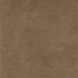 Плитка Rt-Brown Style 48 PFF8 48*48 - фото 57234