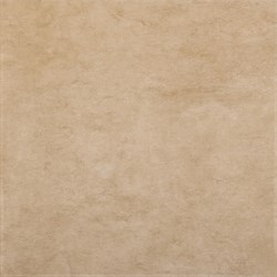 Плитка Rt-Beige Style 48 PFF7 48*48 - фото 57242