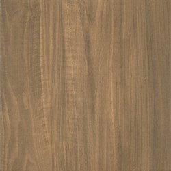 Gusto Brown (GUS-GGE113) - фото 57648