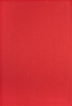MONO Плитка Настенная красная R 27,5x40 - фото 60307