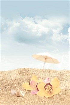 Cocktail Декор D3 D3D140 20х30 - фото 60746