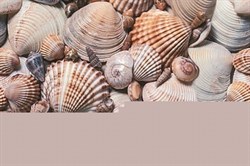 Seashore Декор D1D173 20х30 - фото 60823