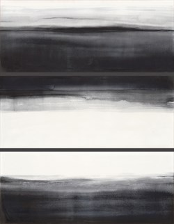 BLACK POISON, 25x60x3 - фото 62253