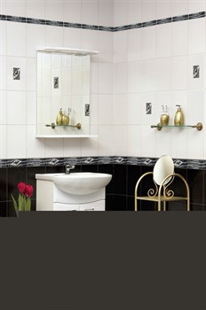 Агама Декор 20х30 (ИБК) - фото 62795