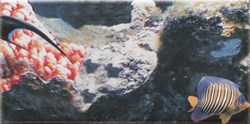 Decor Ocean 7 Декор 10x20 - фото 64858