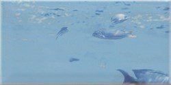 Decor Ocean 2 Декор 10x20 - фото 64904