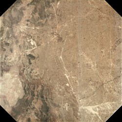 Olimpia Marron Pl Керамогранит 44x44 - фото 66557