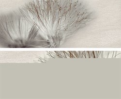 Decor Set (2) Base Acero 20*50 - фото 67080