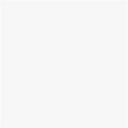 Lord Blanco Brillo 20x20 40101-16 - фото 67176