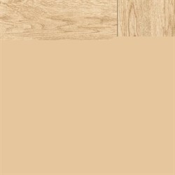 C-BL4R012D Bellariva Beige 42x42 - фото 68666