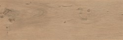 Frame Cognac 19,5x59 Rettificato - фото 69257