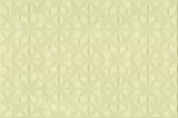 AEN021D Aster 30x45 - фото 70561