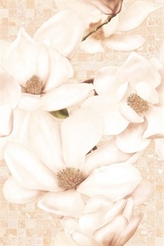 LI2N011DT Dec Linda Beige 30x45 - фото 70642