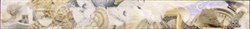 Бордюр Caliza beige mare 6.2x50.5 - фото 70841