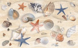 Декоративный массив Аликанте Ракушки 25х50 - фото 71085