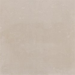 Bluestone Topo 59,6x59,6 - фото 71669