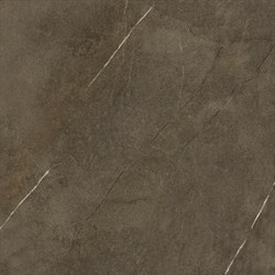 Assuan Brown 59,6x59,6 - фото 71795