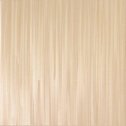 ELEGANCE CHAMPAGNE B03/M - фото 72179