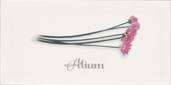 Decor ALIUM Blanco 10x20 - фото 72361