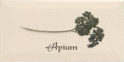Decor APIUM Crema 10x20 - фото 72364