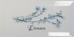 Decor LINUM Blanco 10x20 - фото 72367