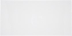 Ice Blanco Brillo 25x50 - фото 72378
