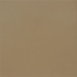 Prisma Canela 33.8*33.8 - фото 72757