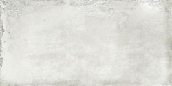 Essence Grey 60*25 - фото 73125
