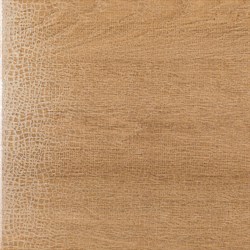 Timor Natural Dragon 45*45 - фото 73210
