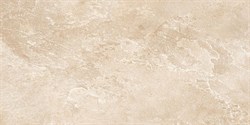 Nature Beige 50*25 - фото 73259