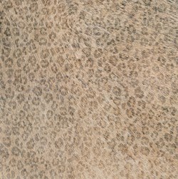 Leopard 45*45 - фото 73447
