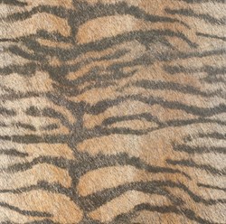 Tiger 45*45 - фото 73448