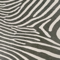 Zebra 45*45 - фото 73449