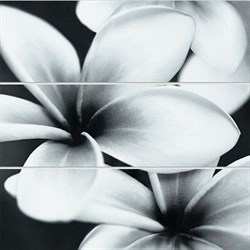 FLOWER GREY COMPOSITION 75X75 - фото 73635