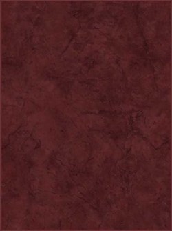 Tokio Плитка настенная коричневая (TKM191R) 25x35 - фото 74992