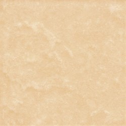 Sagra Orange 10x10 - фото 75182
